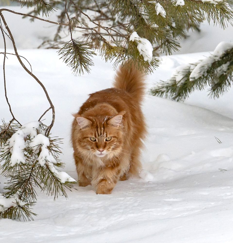 Photograph by NADEZHDA PELYMSKAIA