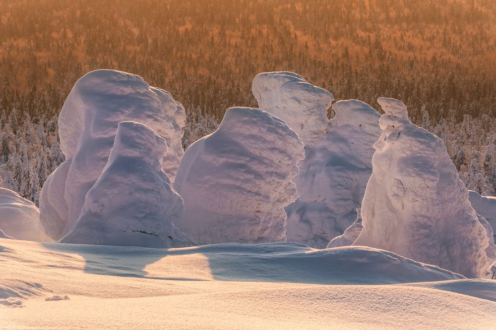 Photograph by Елена Соколова
