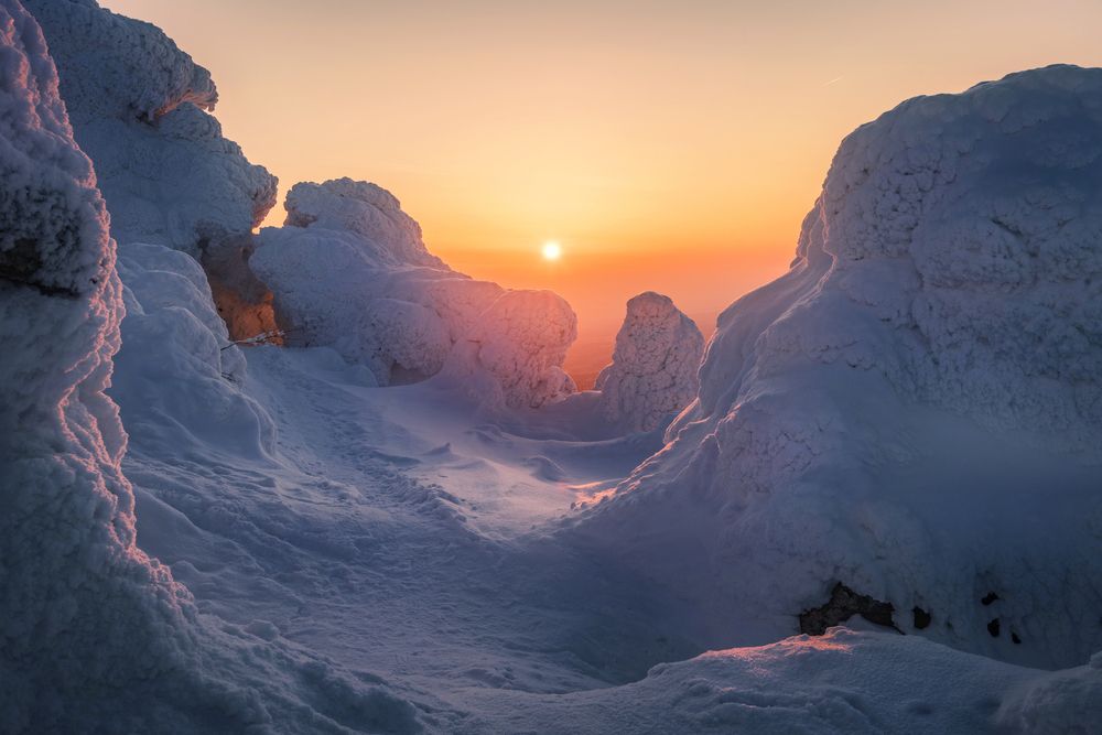 Photograph by Соколова Елена