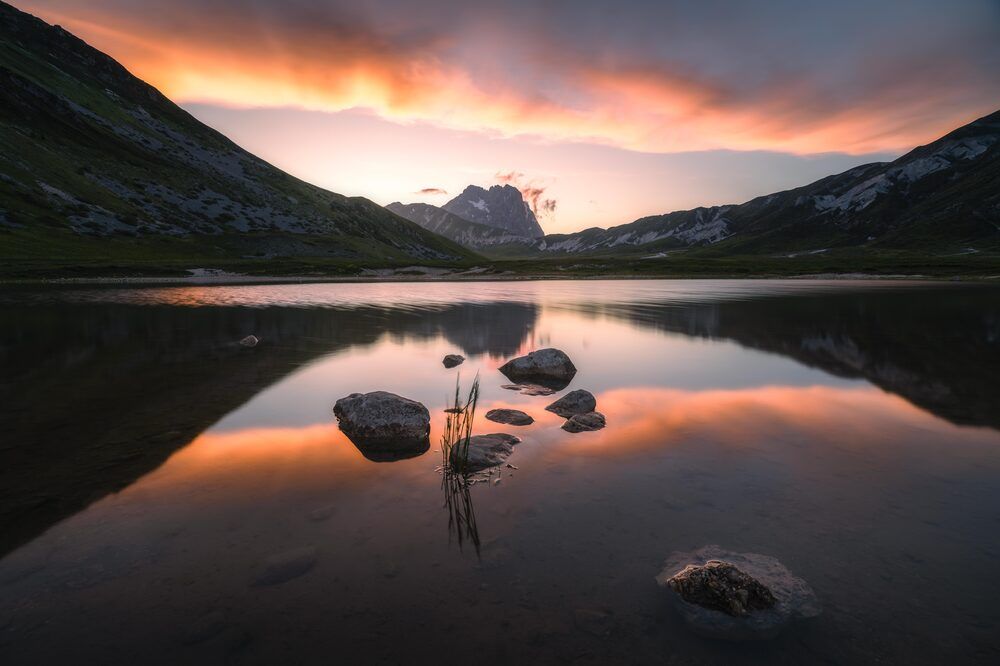 Photograph by Francesco Perticaroli