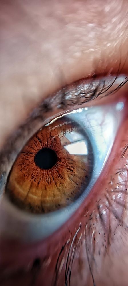 Photo #12098735