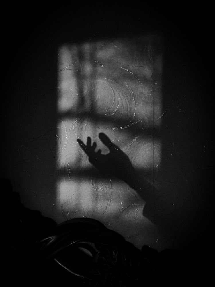 Photo #12098841