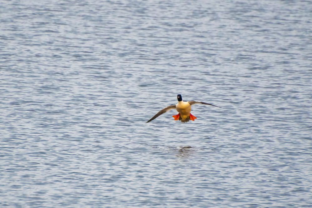 Photograph by Валерий Лунев