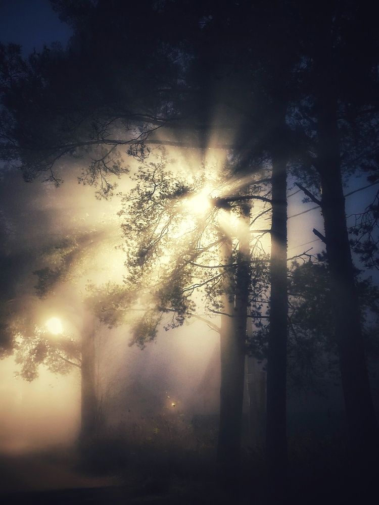 Photograph by Татьяна