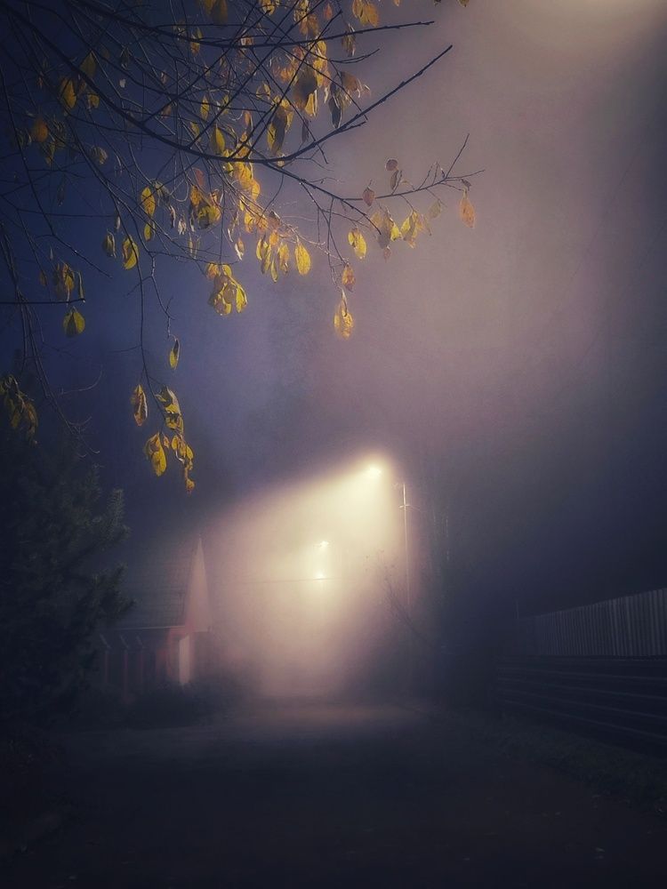 Photograph by Татьяна