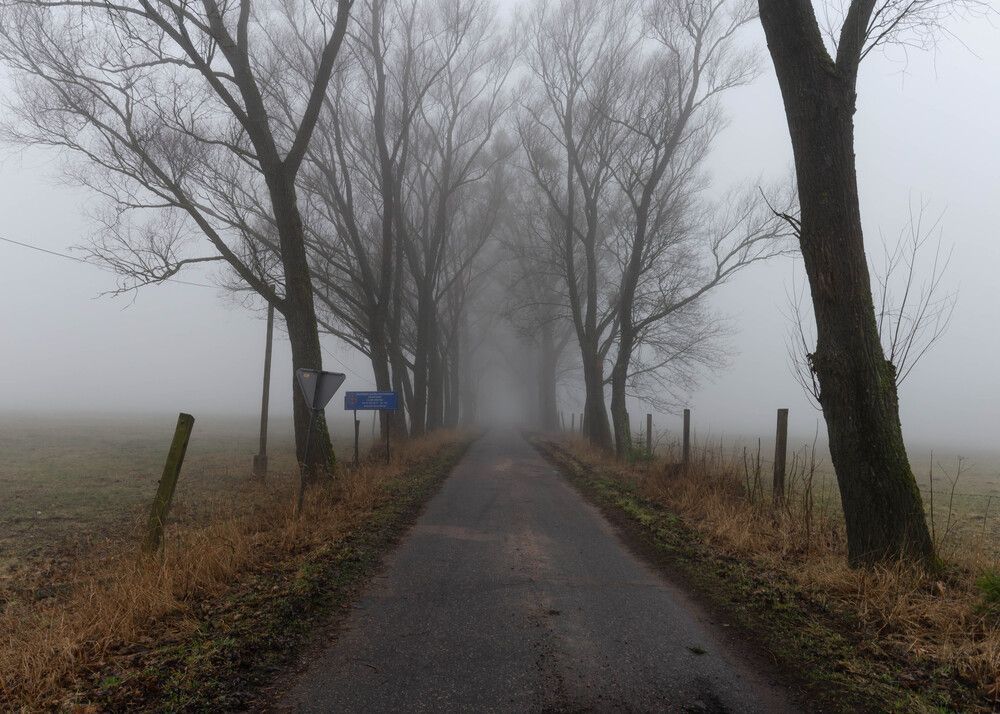 Photograph by Alexey S