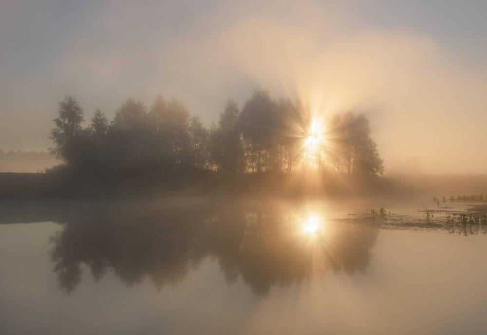 Фотография автора Бонина Ольга