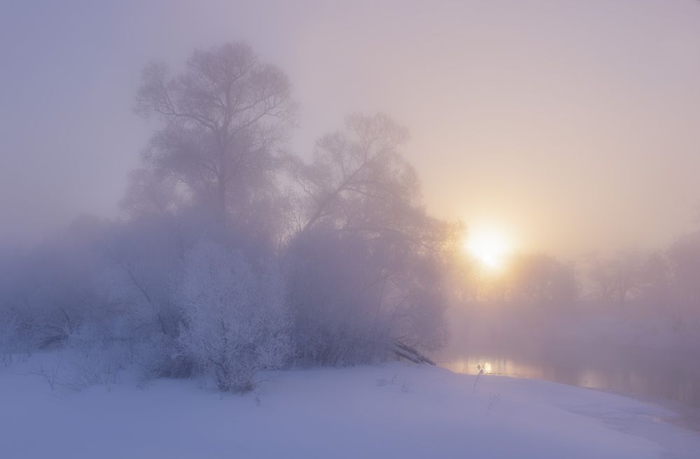 Фотография автора Бонина Ольга
