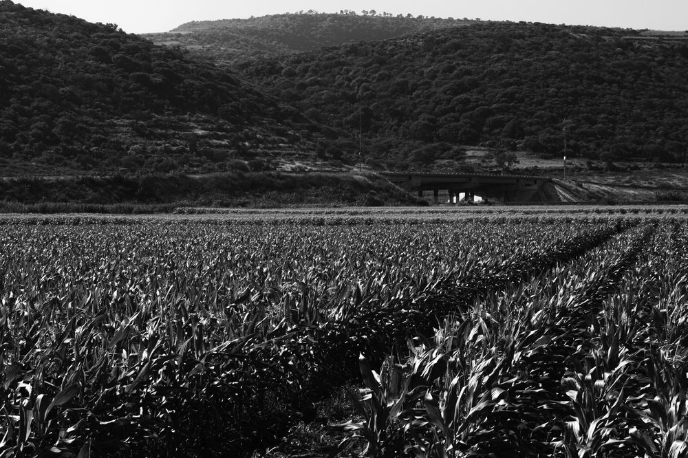 Photograph by Iker Adrián