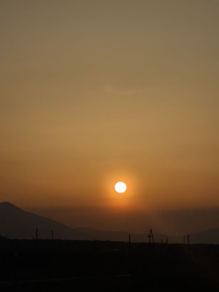 Фотография автора Елена Меньшикова