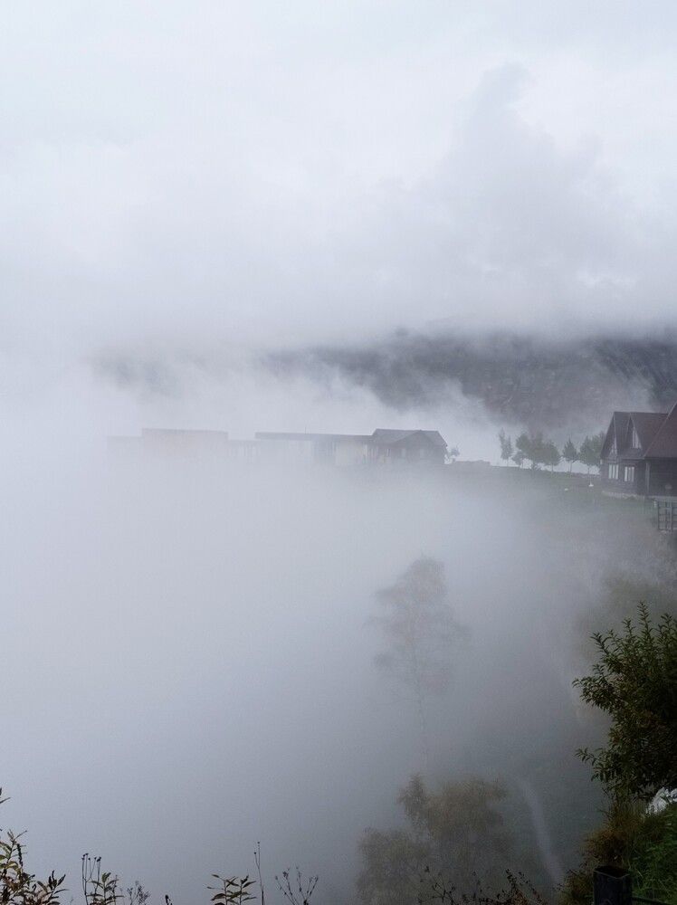 Photograph by Ирина Орлова