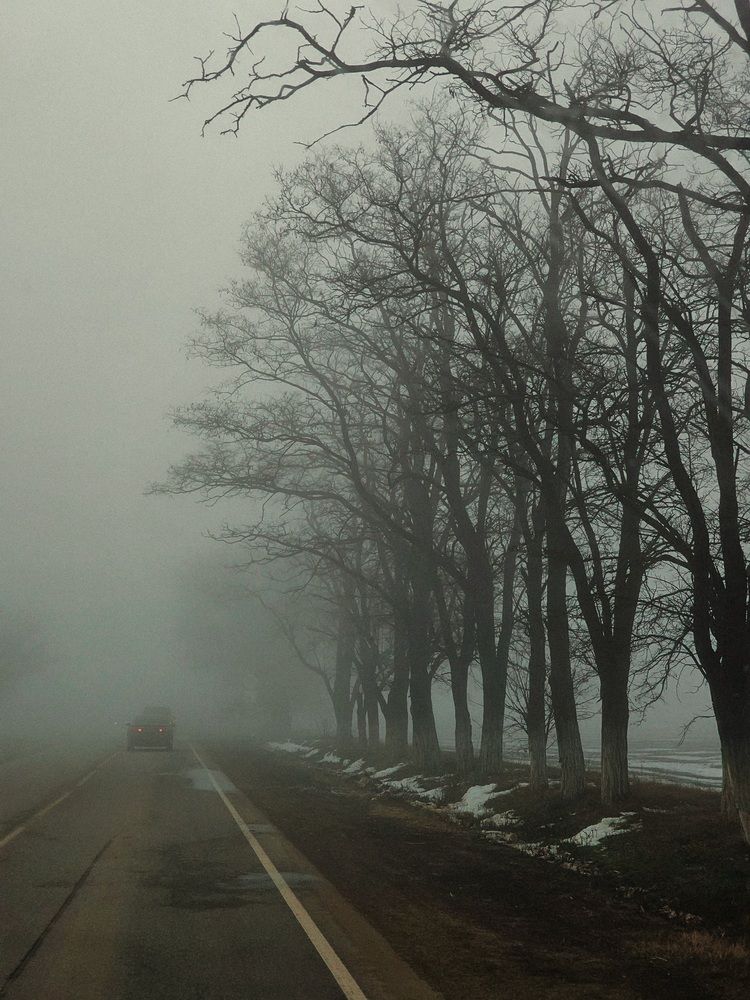 Photograph by Irina Chka