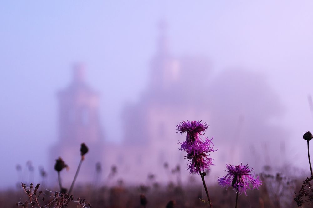 Photograph by Андрей Вешняков