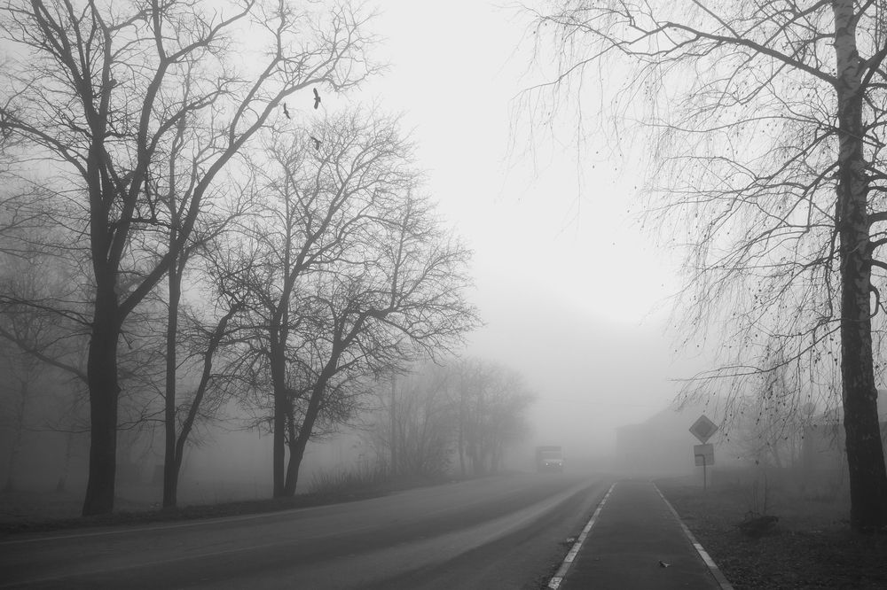 Photograph by Светлана Карнаух