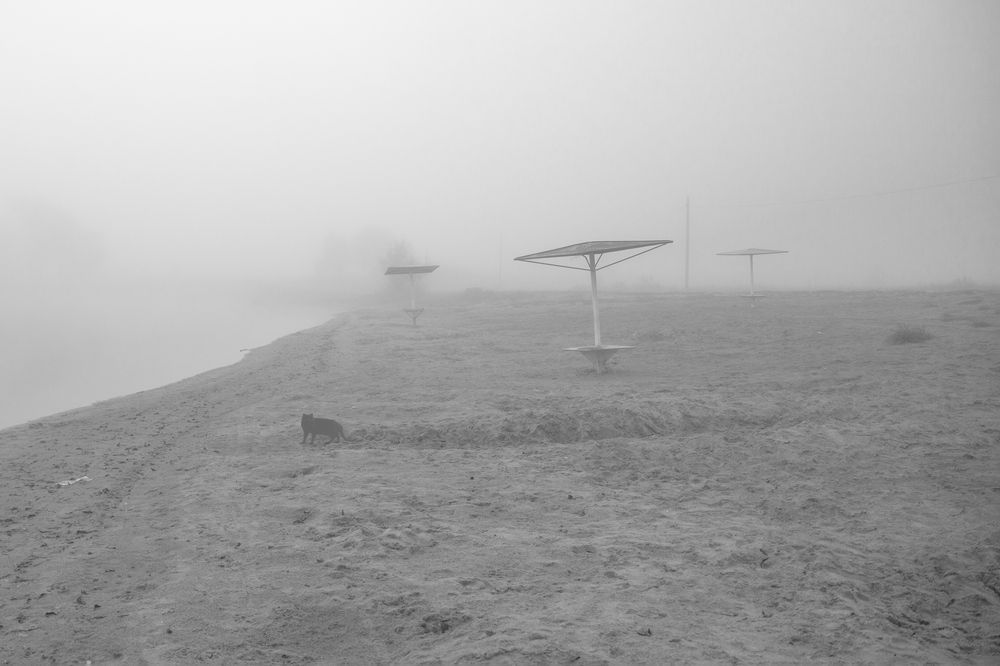 Photograph by Светлана Карнаух