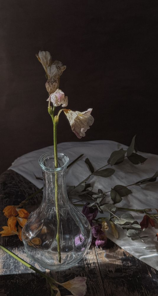 Photograph by Ксения Литвиненко