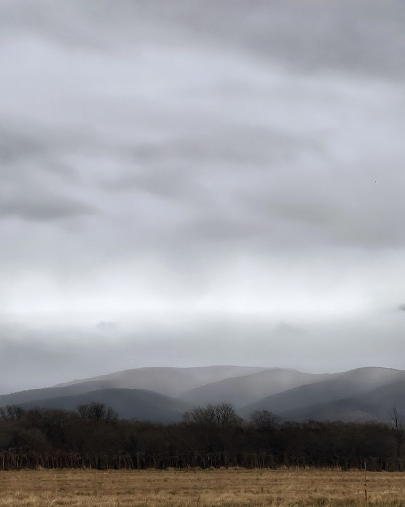 Фотография автора Елена Меньшикова