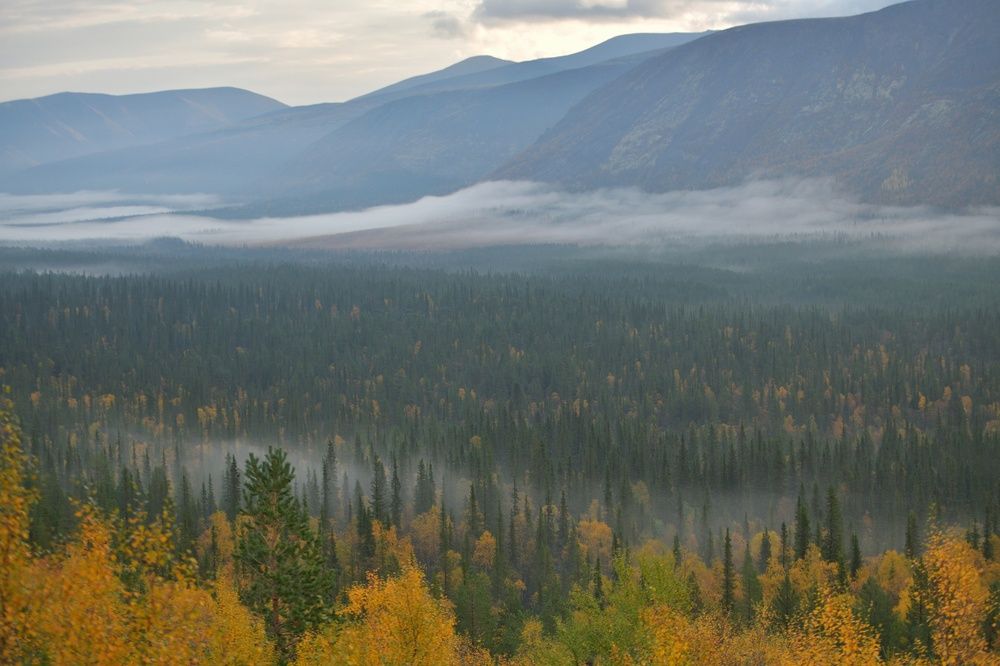 Photograph by Margareth Tikhonova