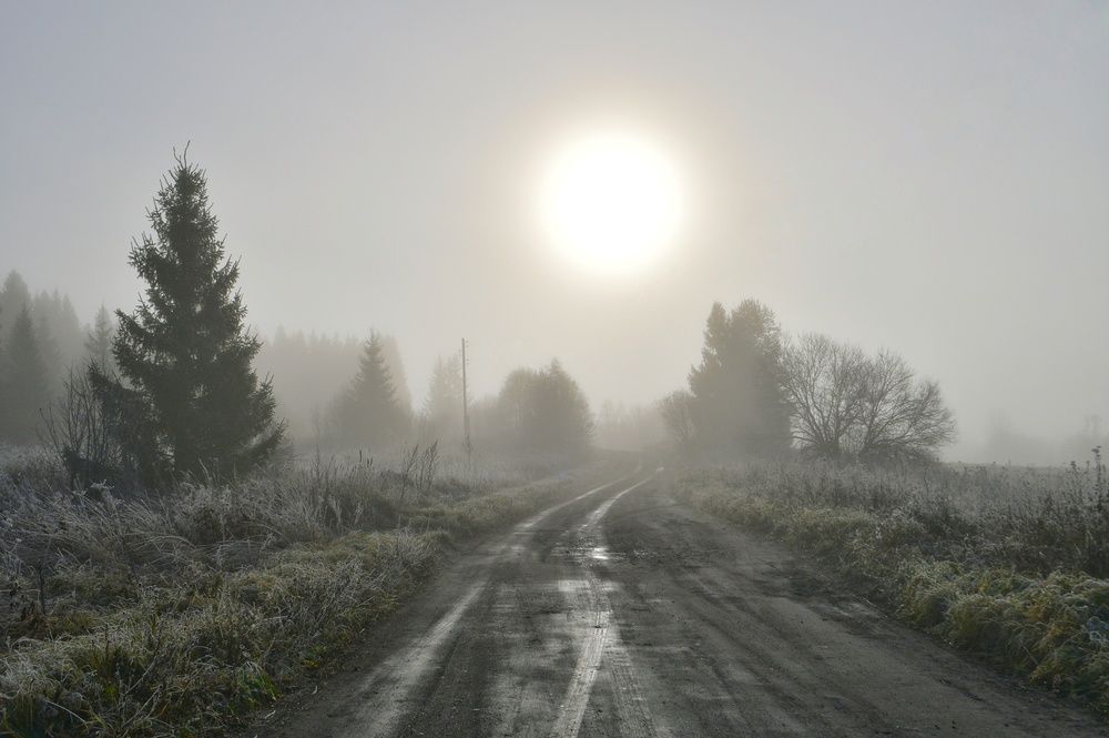 Photograph by Margareth Tikhonova