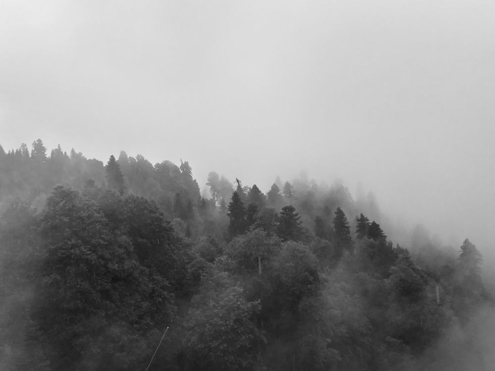 Photograph by Казаков Александр