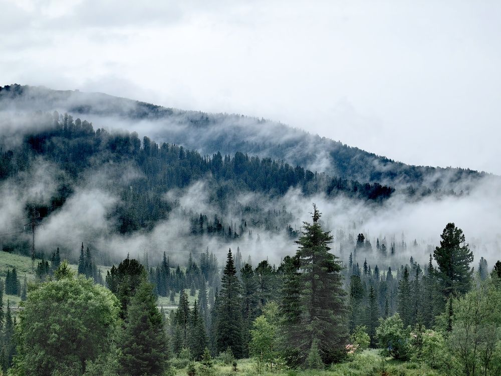 Photograph by OLGA MIKHNEVICH