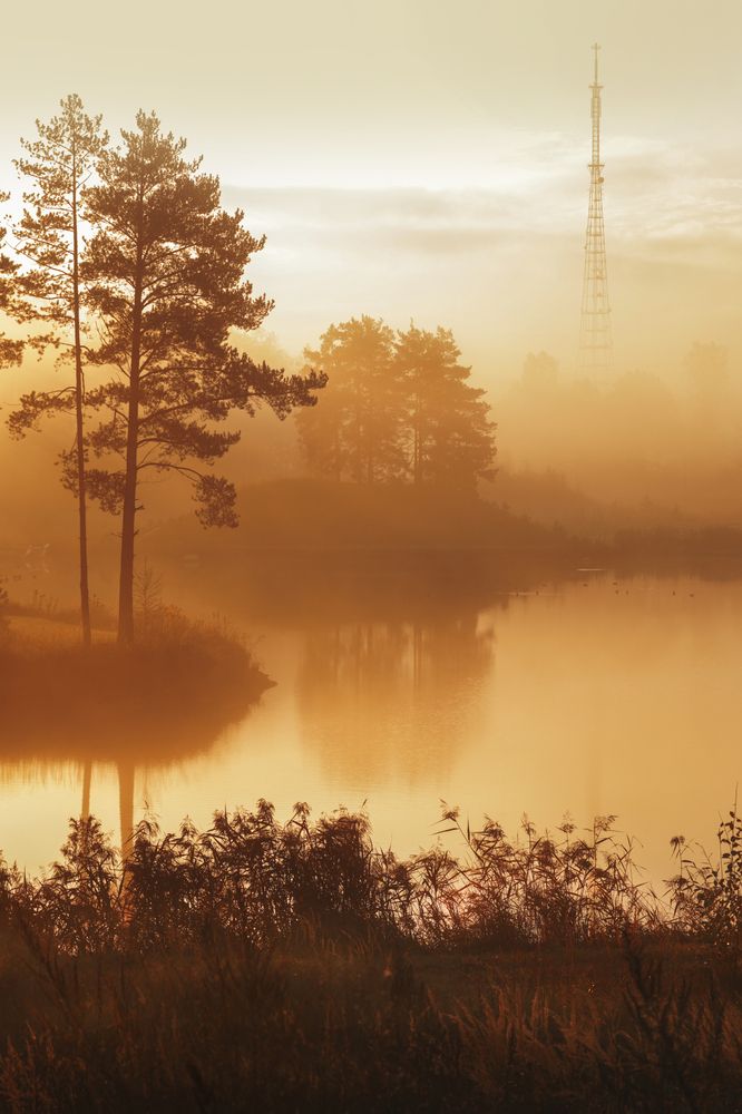 Фотография автора Inga Ivanova