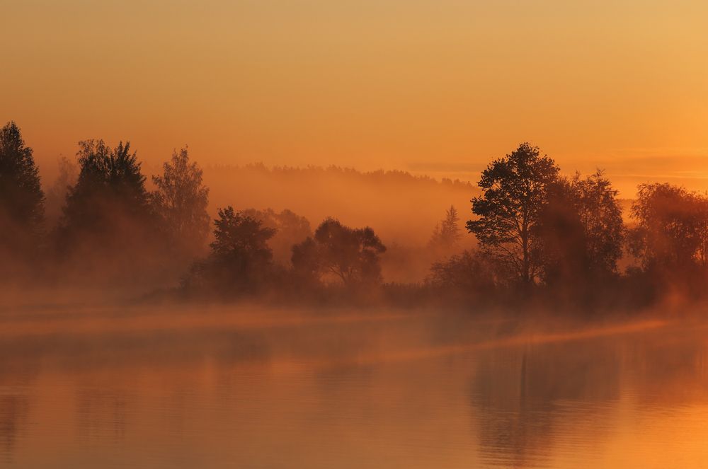 Фотография автора Inga Ivanova