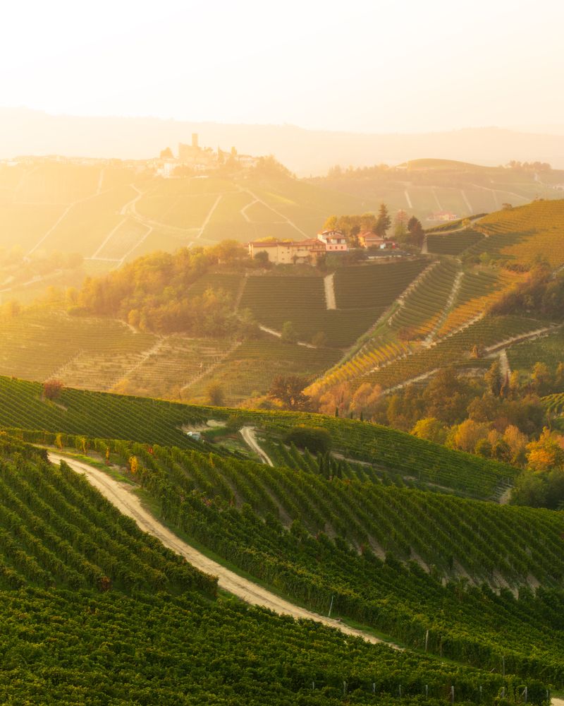 Photograph by Matteo Martin