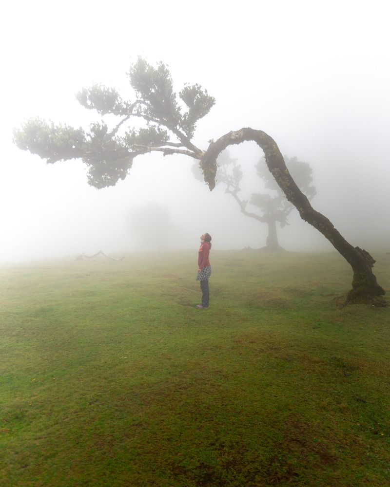 Photograph by Matteo Martin