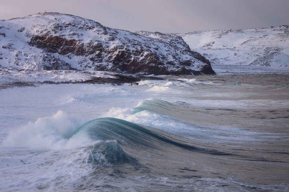 Photograph by Ольга Белоусова