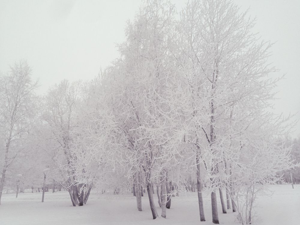 Photograph by Виталий Са