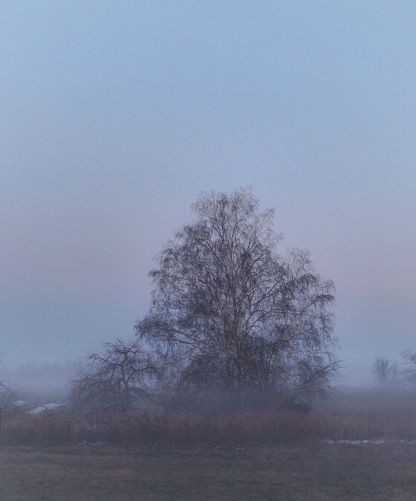 Photograph by Марина Мальцева