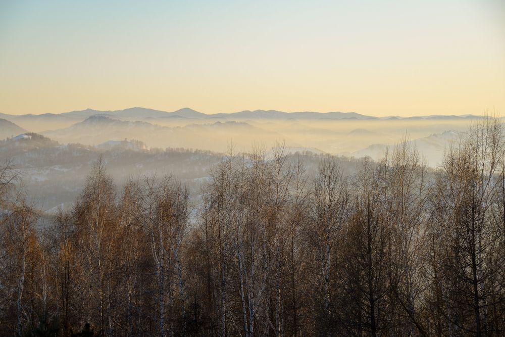 Photograph by YURIY TSARENKO