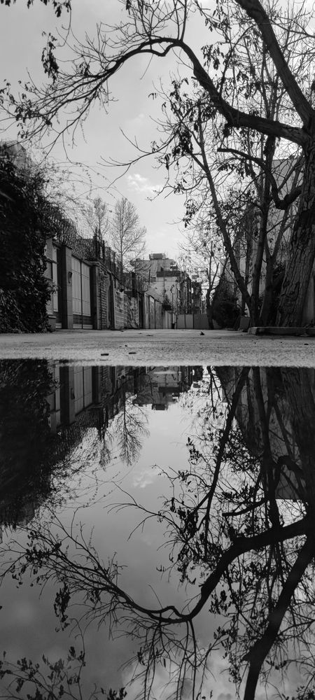 Photograph by Ehsanam Ahmadi