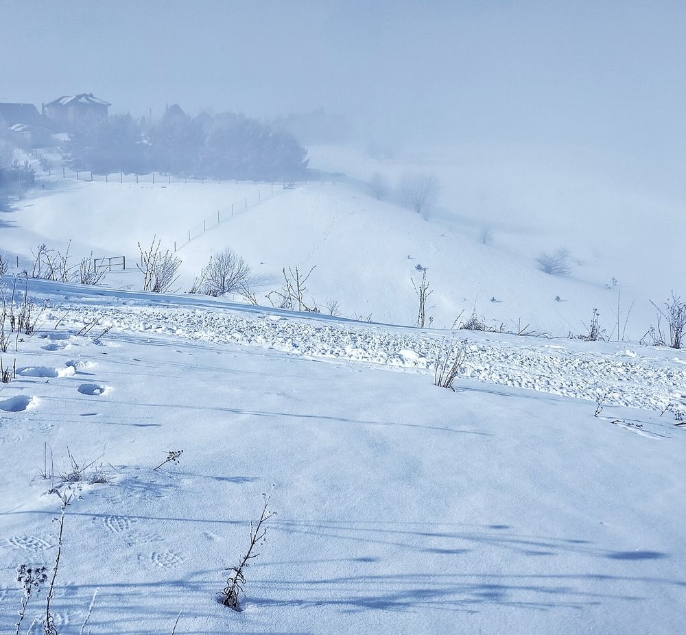 Photograph by Ольга Мартьянова