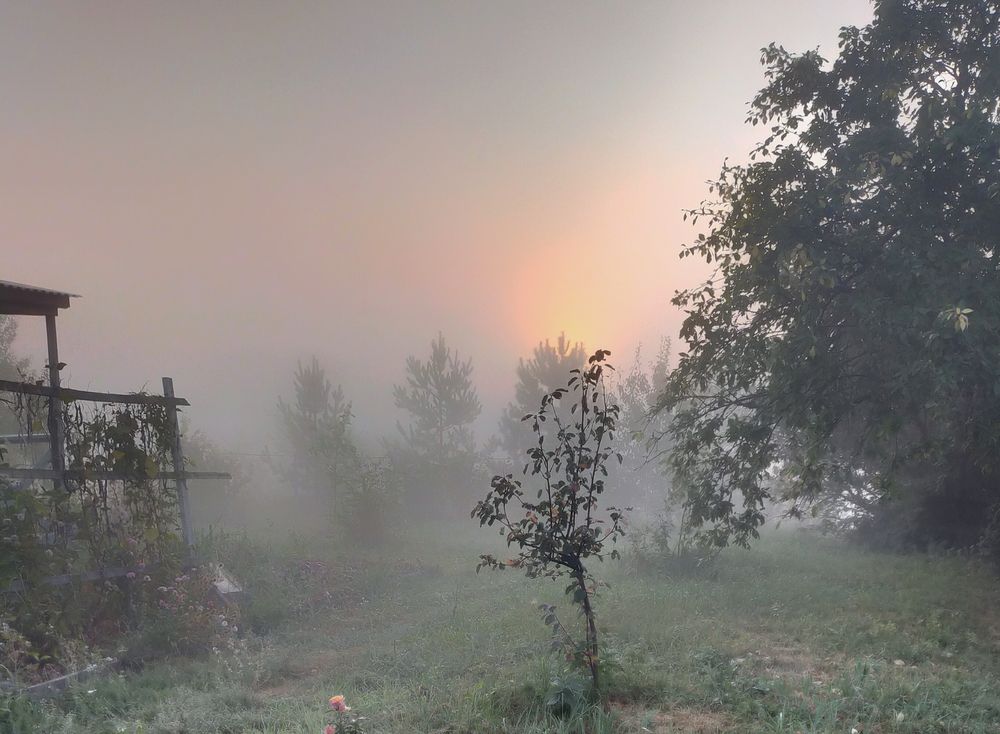 Photograph by Ольга Мартьянова