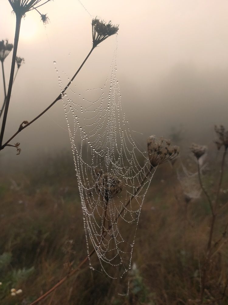 Photograph by Ольга Мартьянова