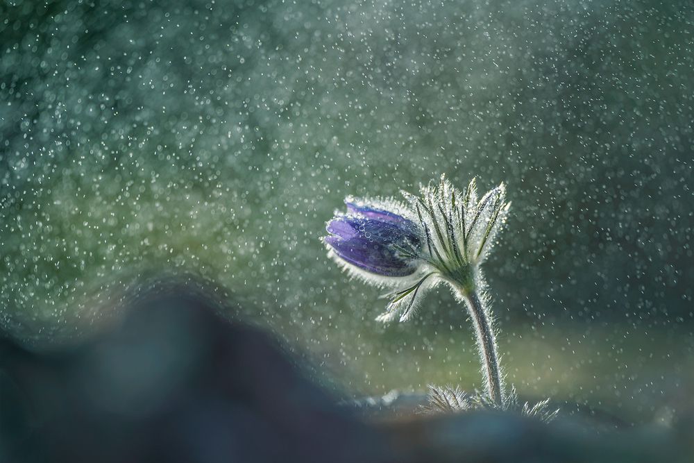 Photograph by Александър Александров