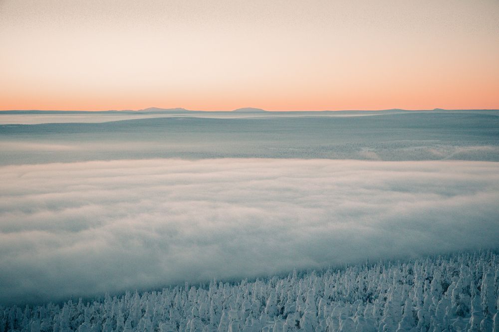 Photograph by Елена Титенская