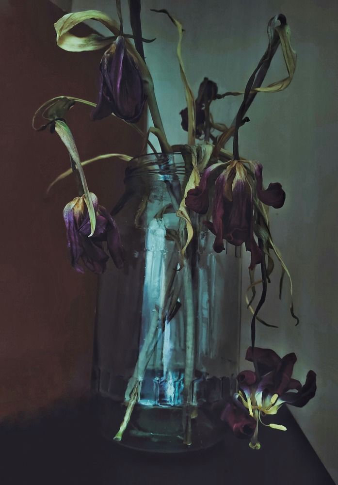 Photograph by Наталья Веряскина