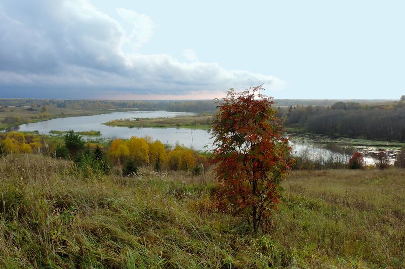 Zoya Elizareva, Russia