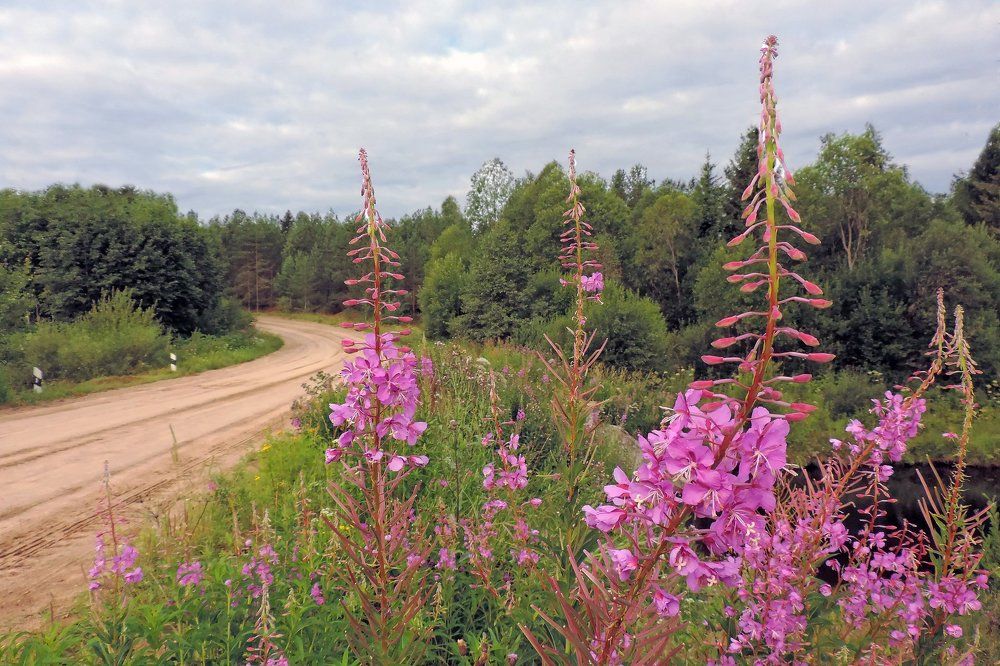 Дорога к дому своему