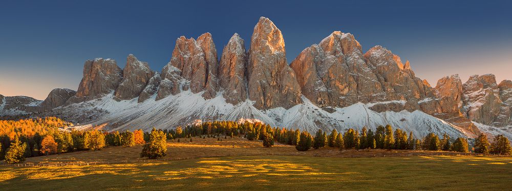 Зубастый старина Geisler