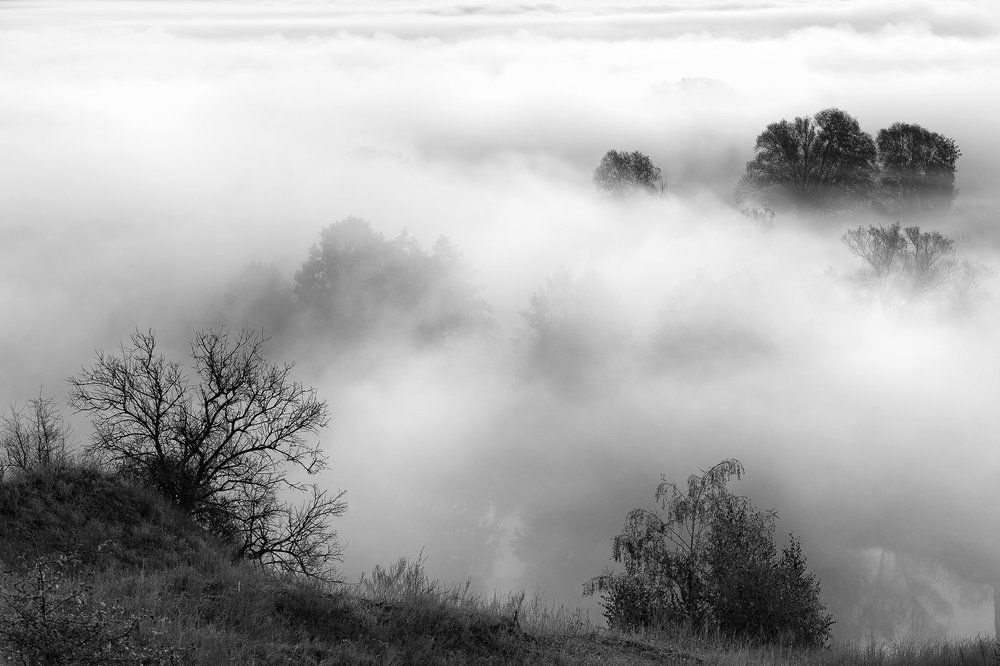 Утро туманное...