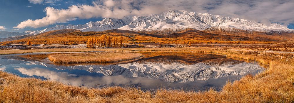 Зеркало в золотом обрамлении