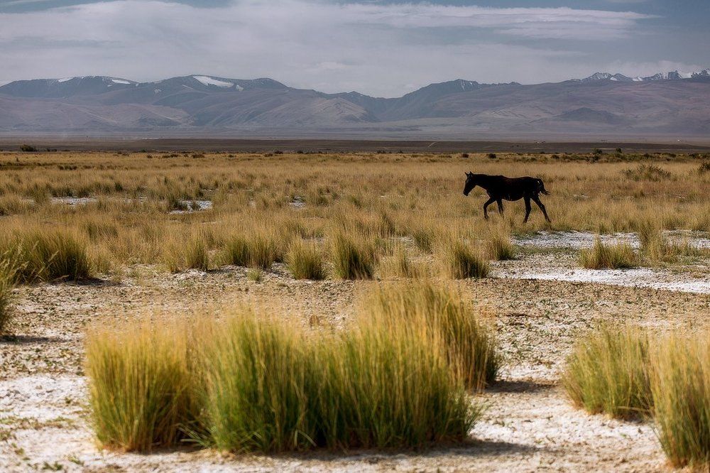 Алтайский стиль