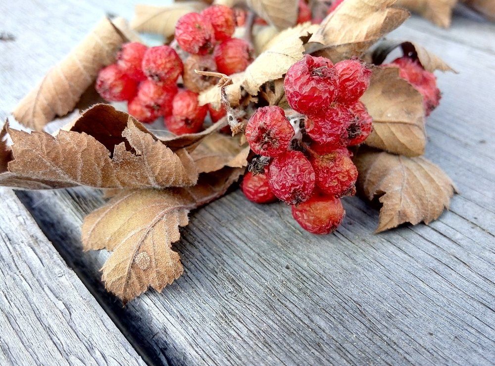 Наш мир так прекрасен!