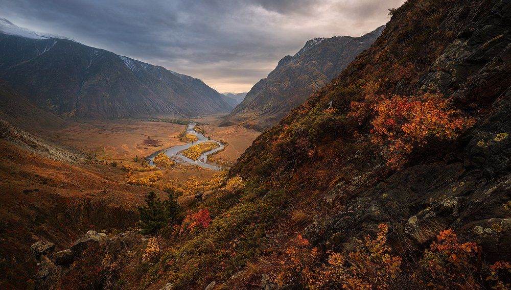 Пестрое разнотравье ущелья Ак-Курум.