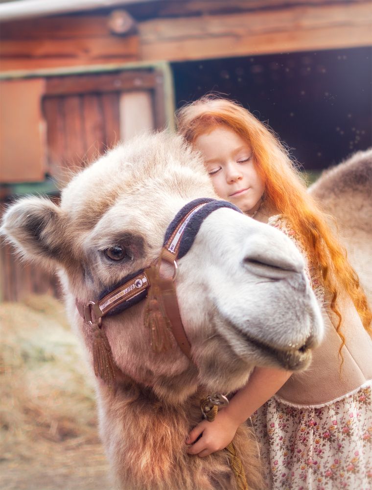 Трепет...нежность...умиротворение...