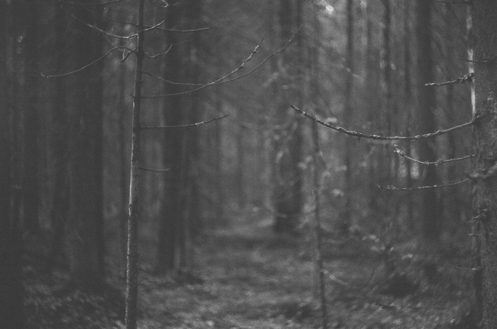 Photograph by Илья